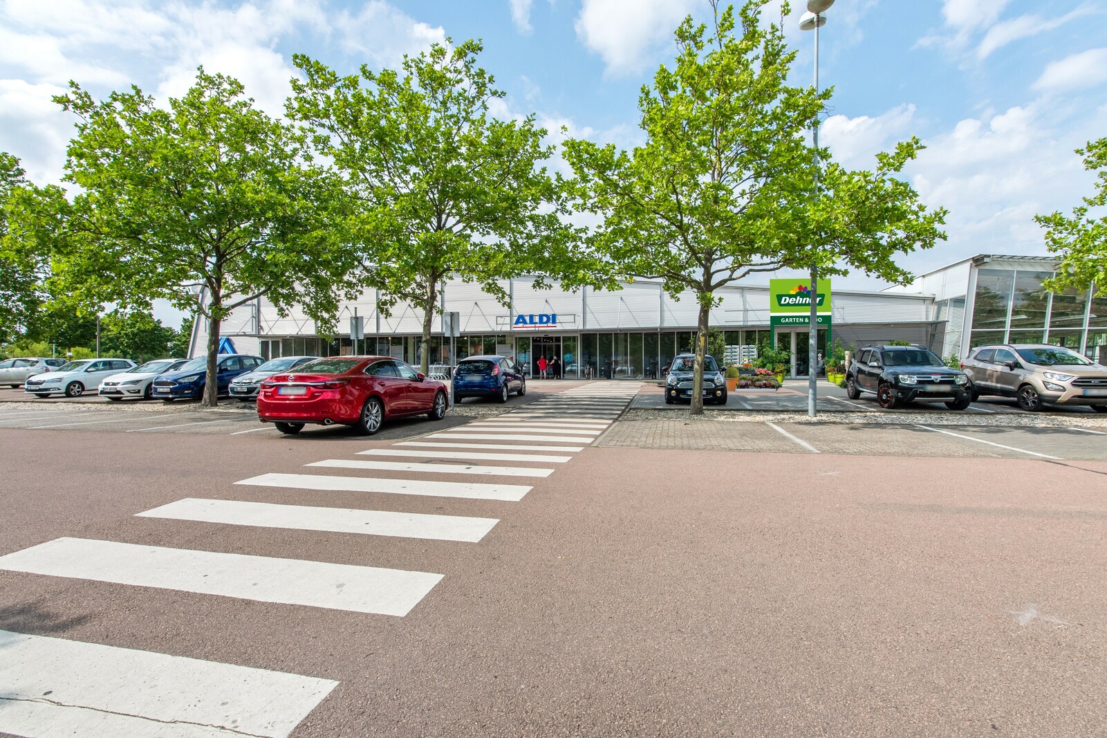 Dehner bringt die rundum Gartenvielfalt nach Dessau ANH